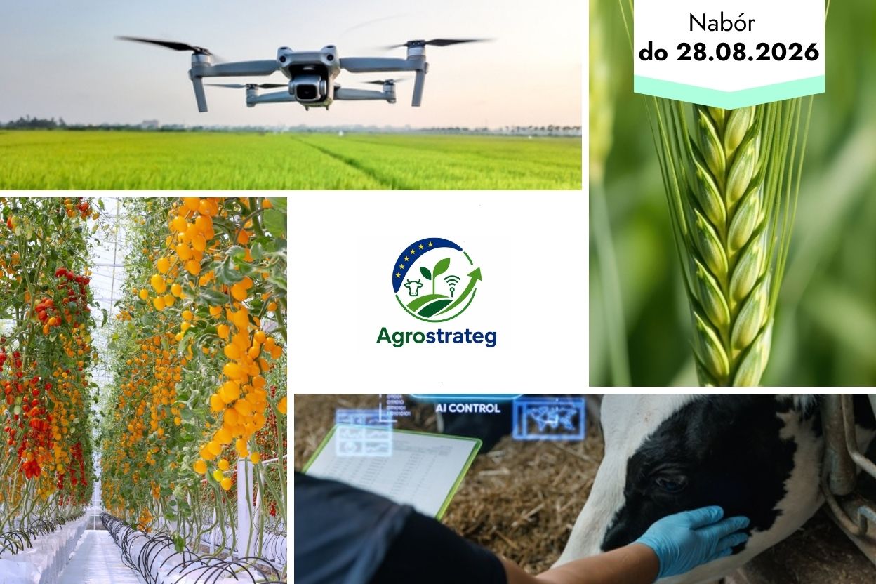 AGROSTRATEG: 300 mln PLN na projekty B+R w rolnictwie i sektorze rolno-spożywczym